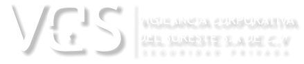 VIGILANCIA CORPORATIVA DEL SURESTE S.A DE C.V  S SEGURIDAD PRIVADA