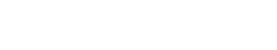 VIGILANCIA CORPORATIVA DEL SURESTE S.A DE C.V  S